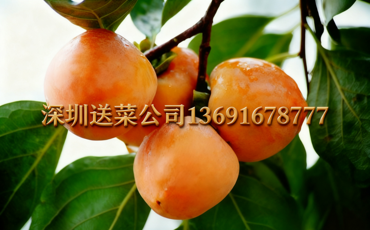 柿子選品不踩坑!惠州蔬菜配送公司為果農(nóng)解析3個(gè)優(yōu)質(zhì)品種的核心優(yōu)勢(shì)